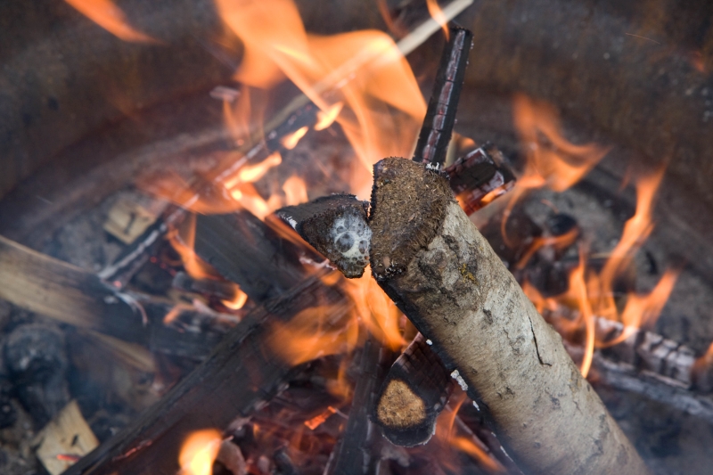 Aktiviteter 2008_25.jpg